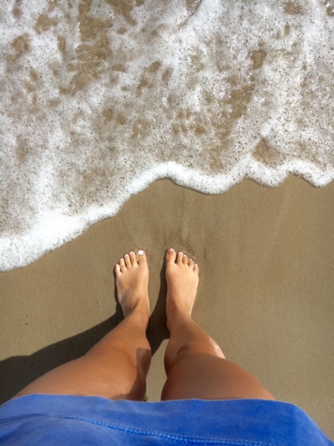 Tibetan Hybrid Labor Day Sale beach photo